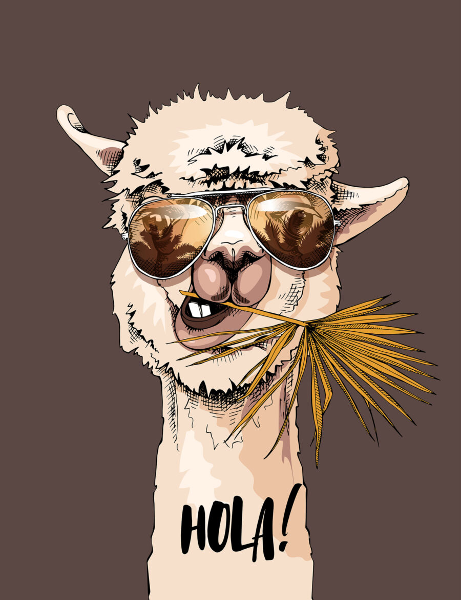Een lama die een zonnebril draagt en een palmblad eet