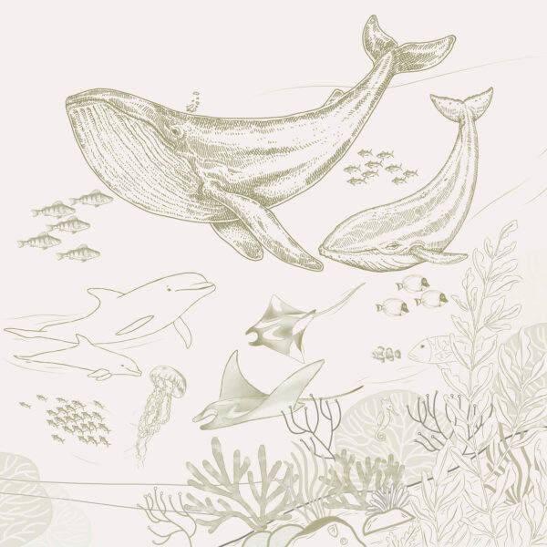 Een tekening van een walvis en een walvis Een tekening van een walvis en een walvis