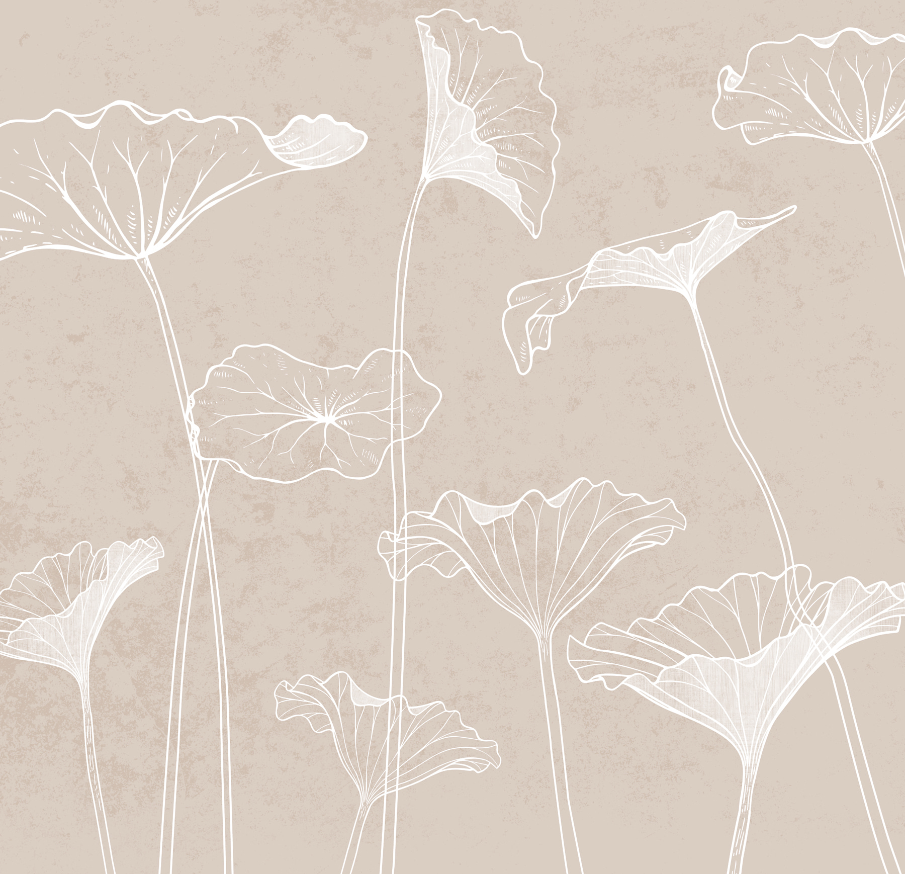 A white line drawing of flowers A white line drawing of flowers