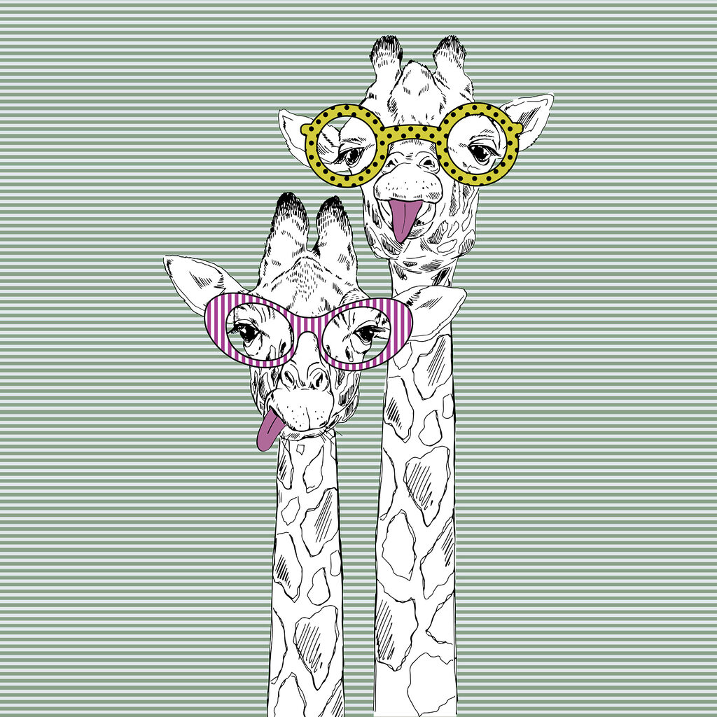 A couple of giraffes wearing glasses