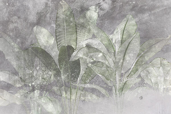 Botanische elegantie in zachte texturen. Botanische elegantie in zachte texturen.