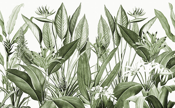 Weelderig groen met delicate details. Weelderig groen met delicate details.