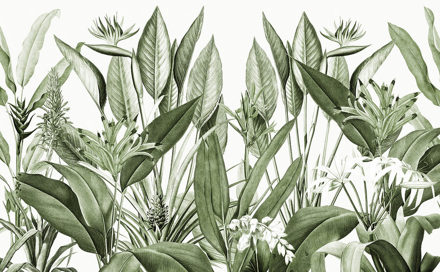 Weelderig groen met delicate details. Weelderig groen met delicate details.