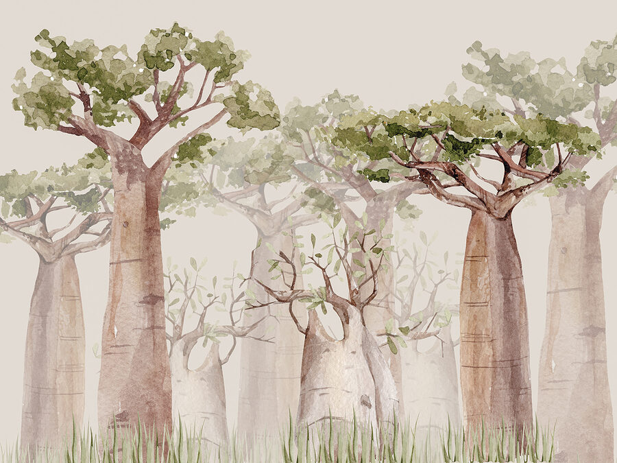 Een groep bomen met groene bladeren