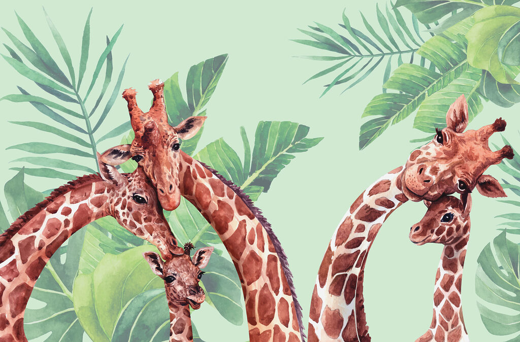 Een groep giraffen met hun hoofden bij elkaar Een groep giraffen met hun hoofden bij elkaar