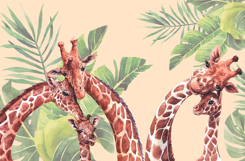 Een groep giraffen met lange nekken Een groep giraffen met lange nekken