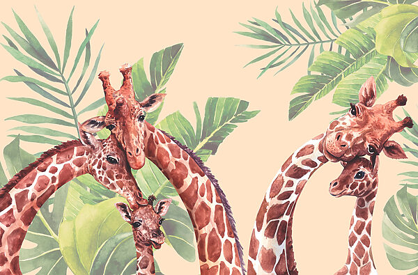 Een groep giraffen met lange nekken Een groep giraffen met lange nekken