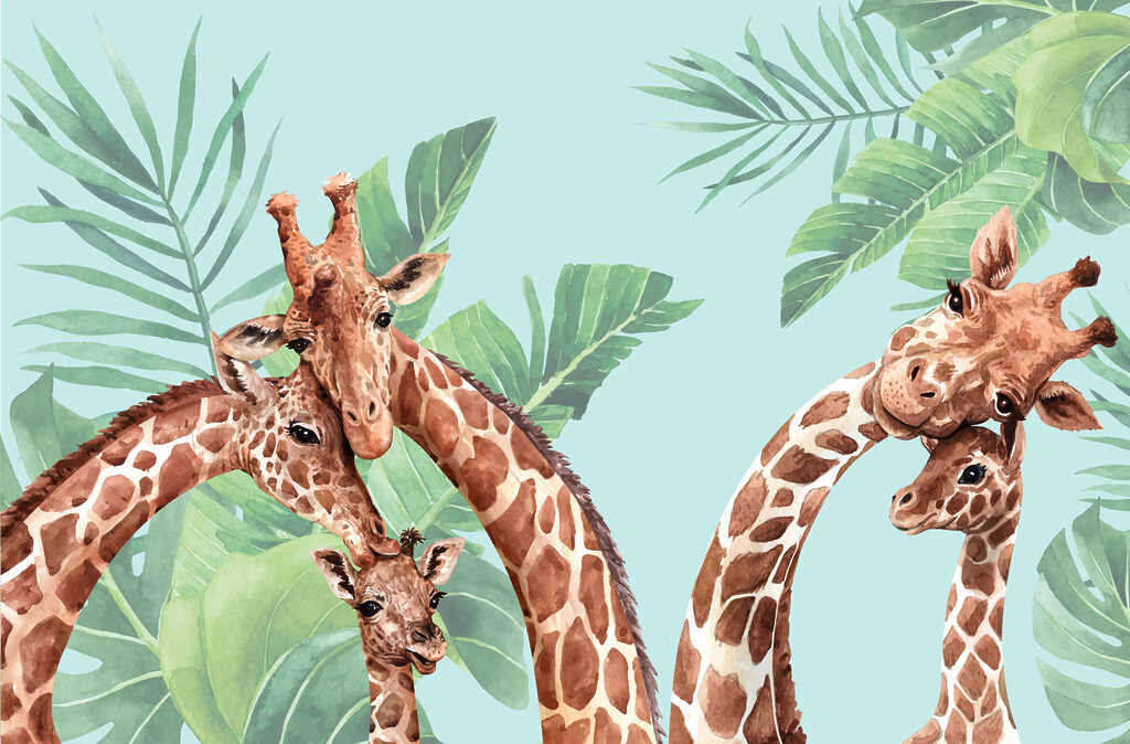 Een groep giraffen met hun hoofden bij elkaar Een groep giraffen met hun hoofden bij elkaar