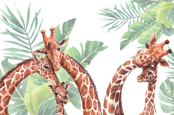 Een groep giraffen met hun hoofd voor bladeren Een groep giraffen met hun hoofd voor bladeren
