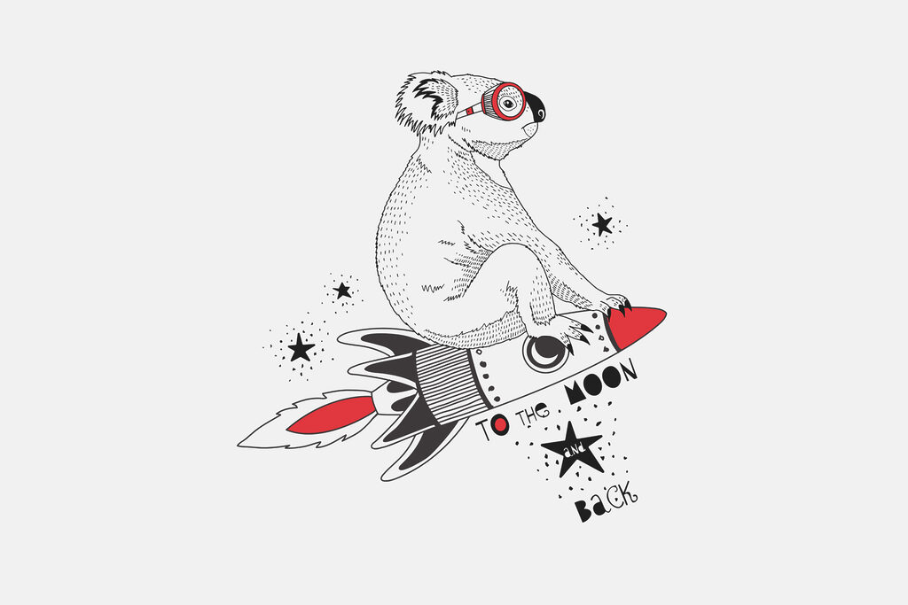 Een koala op een raket Een koala op een raket