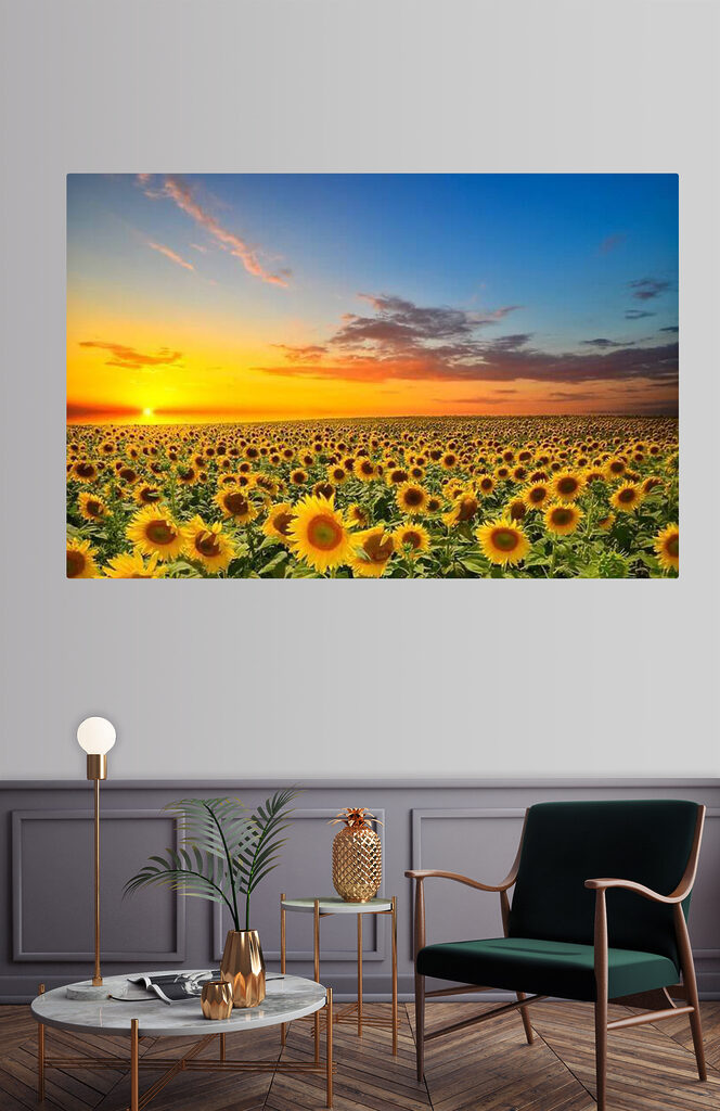 Een veld zonnebloemen bij zonsondergang s05429pig14m 664x1024 - Een veld zonnebloemen bij zonsondergang