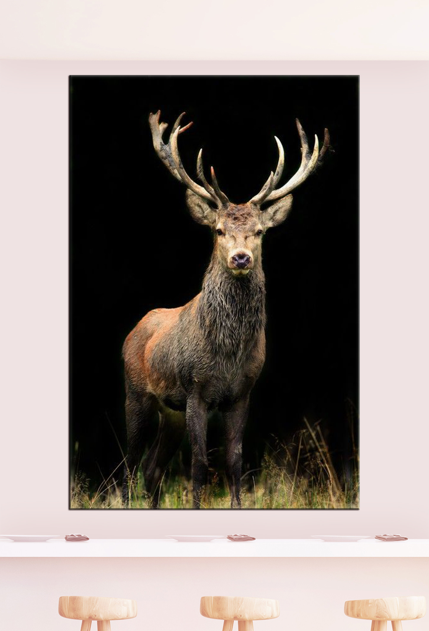 A deer with antlers standing in the dark