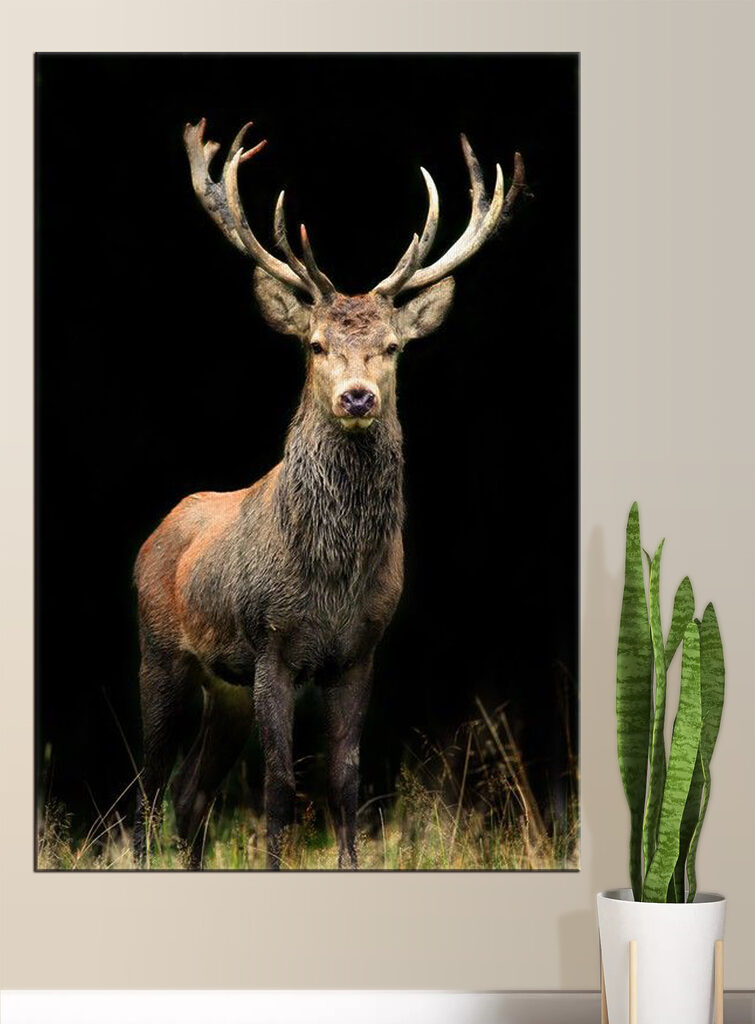 A deer with antlers standing in the dark