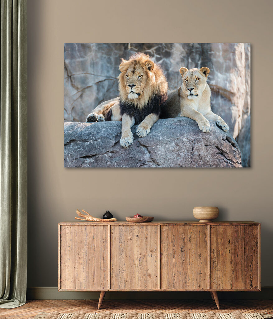 A couple of lions lying on a rock