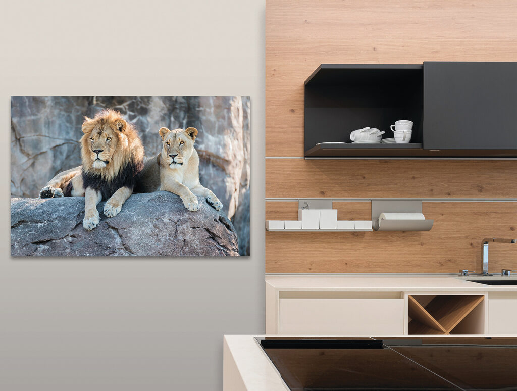 A couple of lions lying on a rock