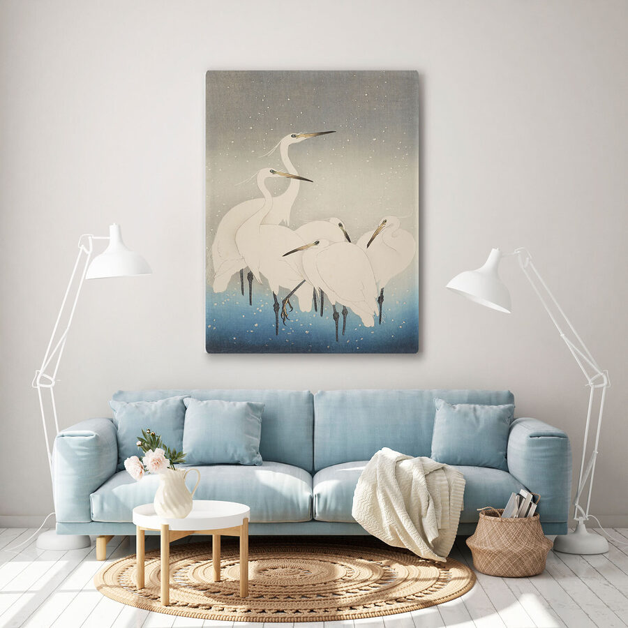 Een groep witte vogels met lange snavels Een groep witte vogels met lange snavels
