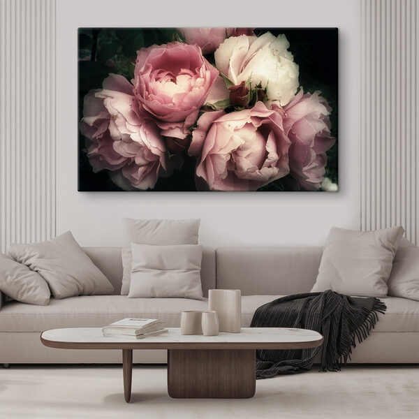 Een groep roze en witte rozen Een groep roze en witte rozen