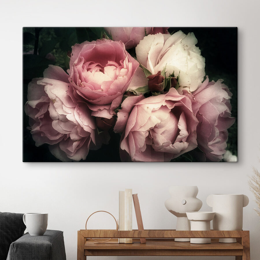 Een groep roze en witte rozen