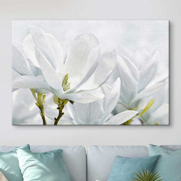 Close-up van witte bloemen Close-up van witte bloemen