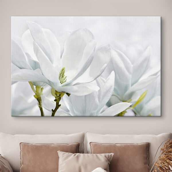 Close-up van witte bloemen Close-up van witte bloemen