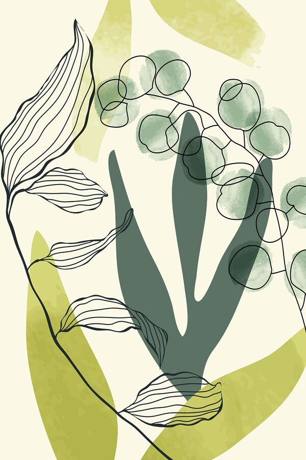 Een tekening van een plant Een tekening van een plant