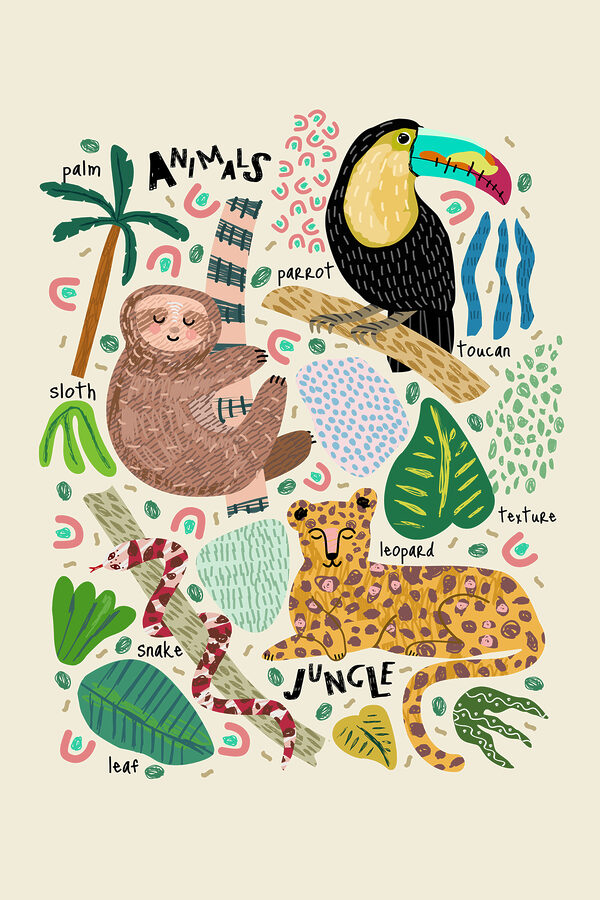 Een groep dieren en planten Een groep dieren en planten