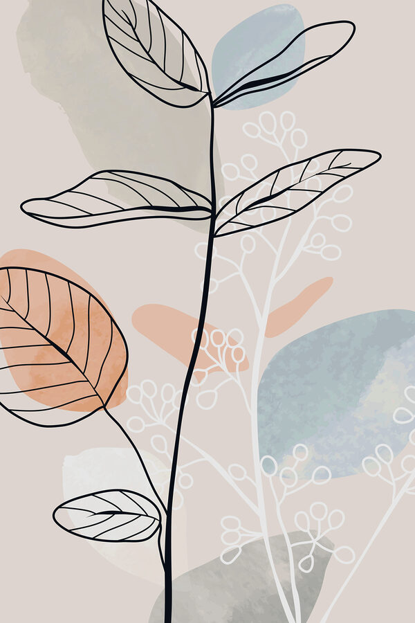 Een tekening van een plant Een tekening van een plant