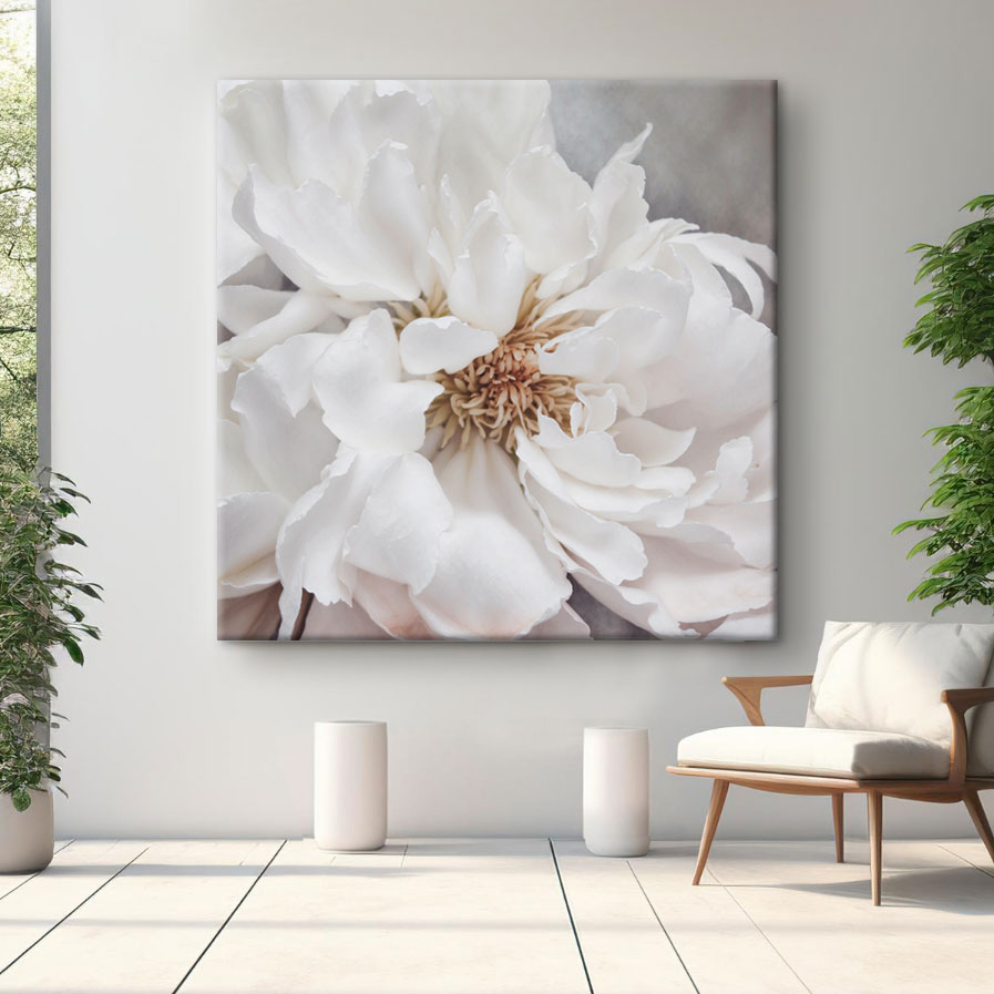Een close-up van een witte bloem