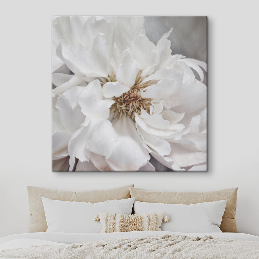 Een close-up van een witte bloem
