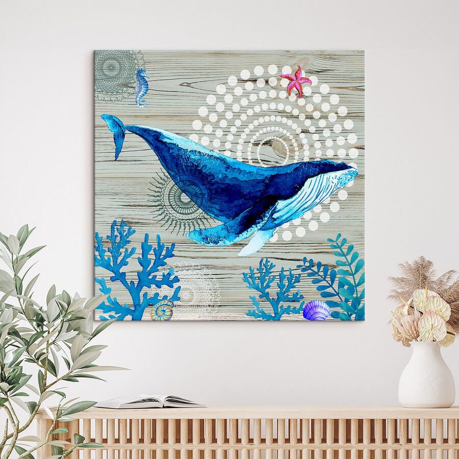 Een blauwe vinvis en zeewier