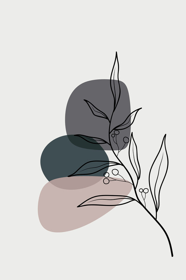 A drawing of a plant