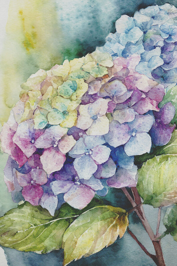 Een aquarel van een bloem Een aquarel van een bloem