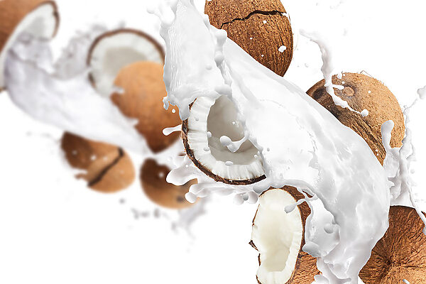 Kokosnoten en opspattende melk Kokosnoten en opspattende melk