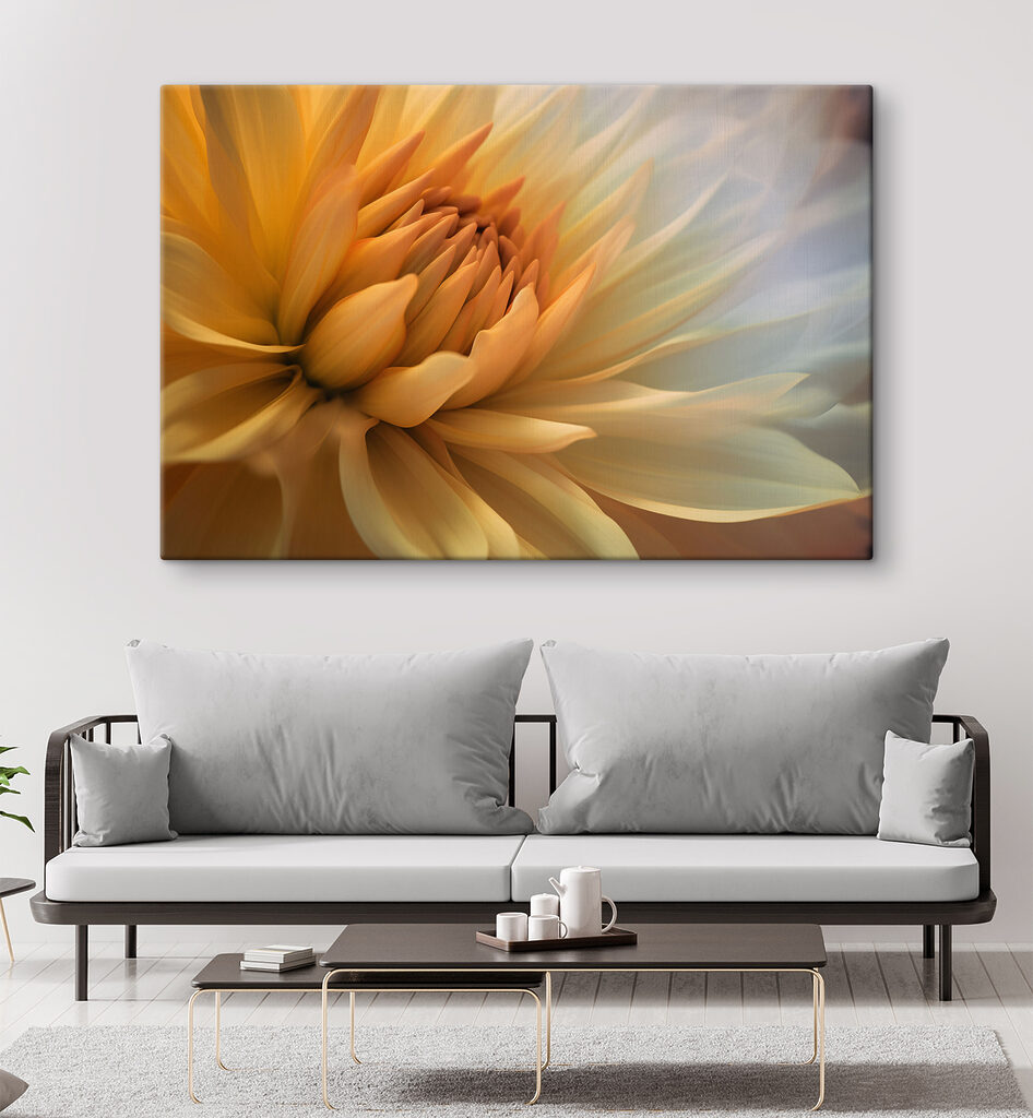 A close up of a flower A close up of a flower