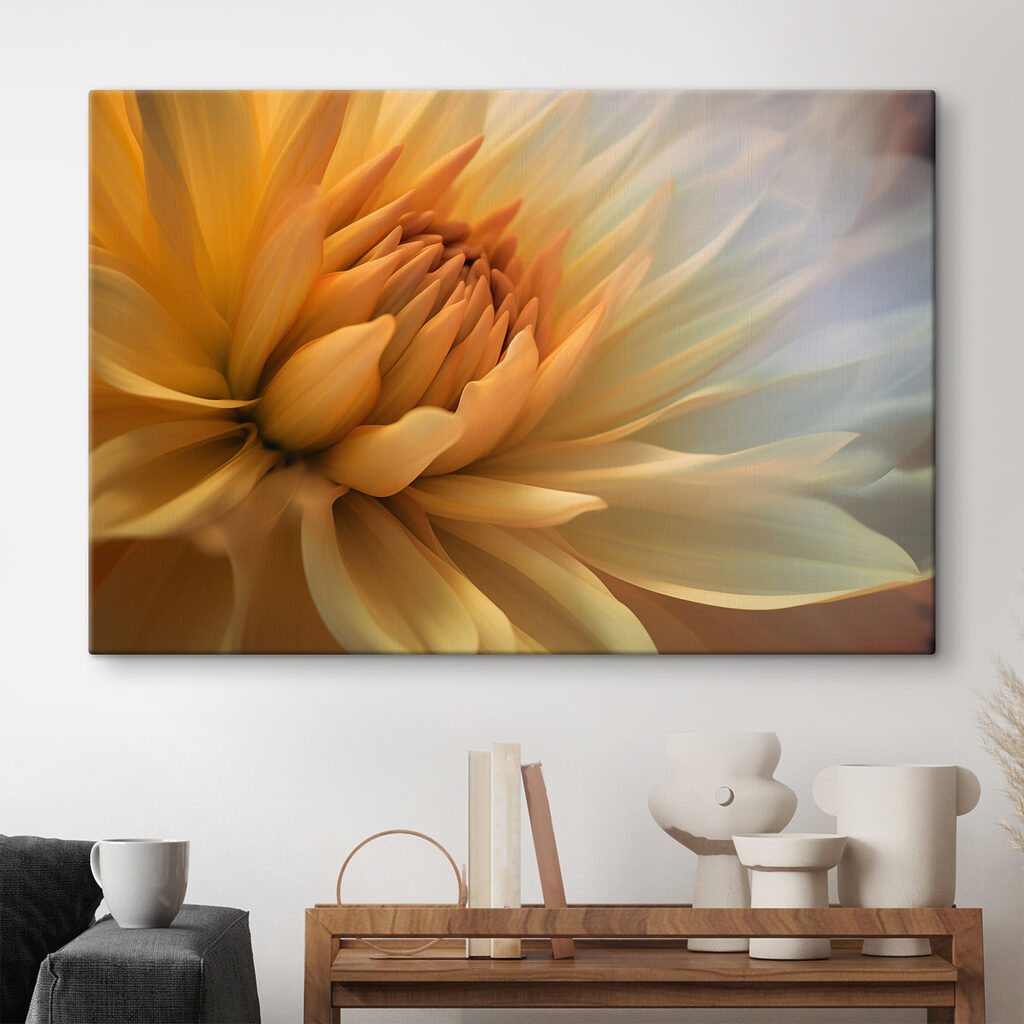 A close up of a flower A close up of a flower