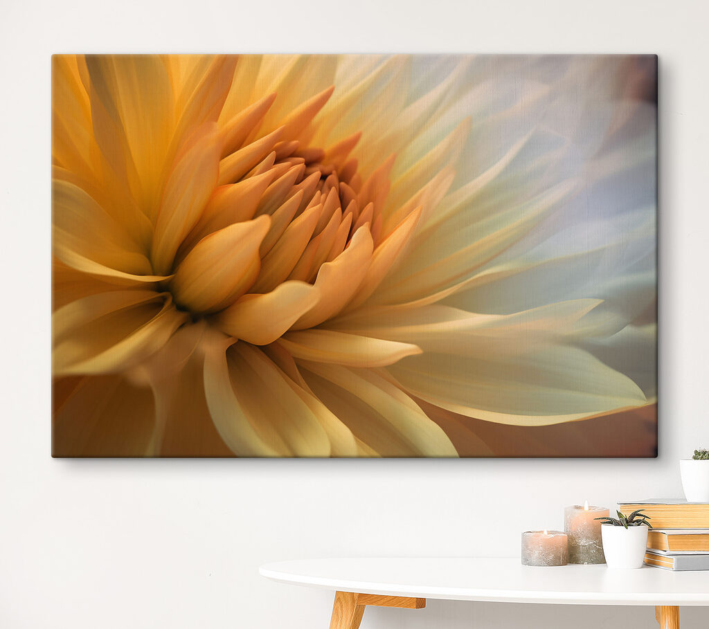 A close up of a flower A close up of a flower