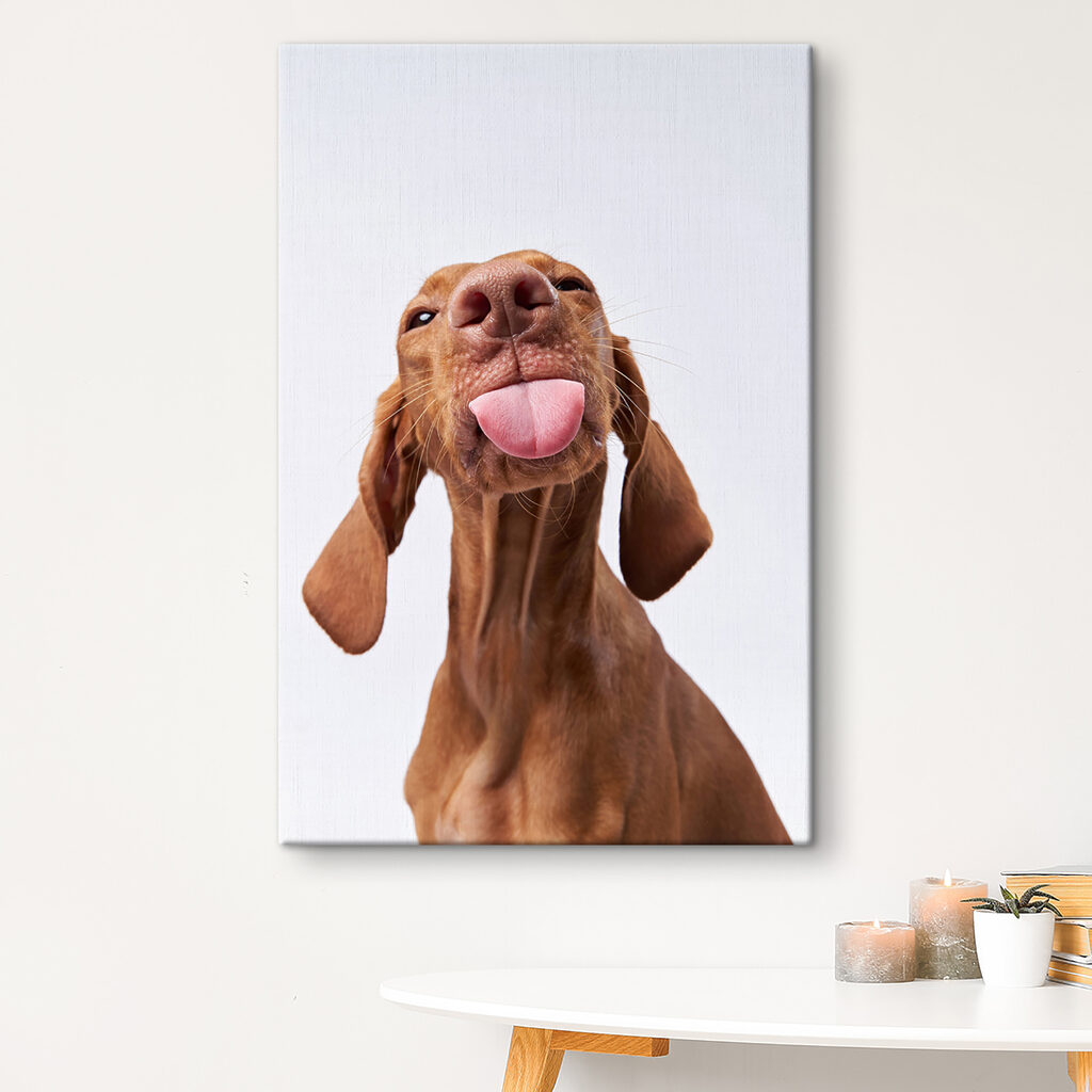 Een hond die zijn tong uitsteekt s37751pig80m 1024x1024 - Een hond die zijn tong uitsteekt