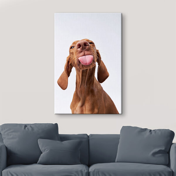 Een hond die zijn tong uitsteekt s37751pig96 600x600 - Een hond die zijn tong uitsteekt