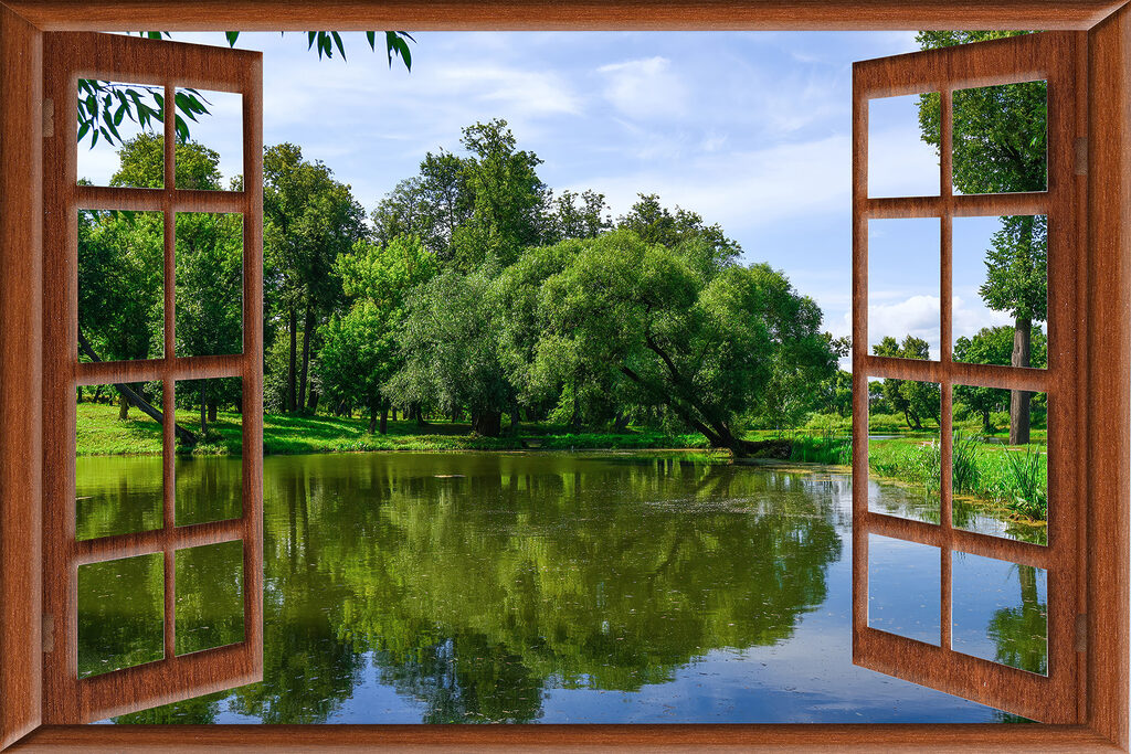 A window with a lake and trees
