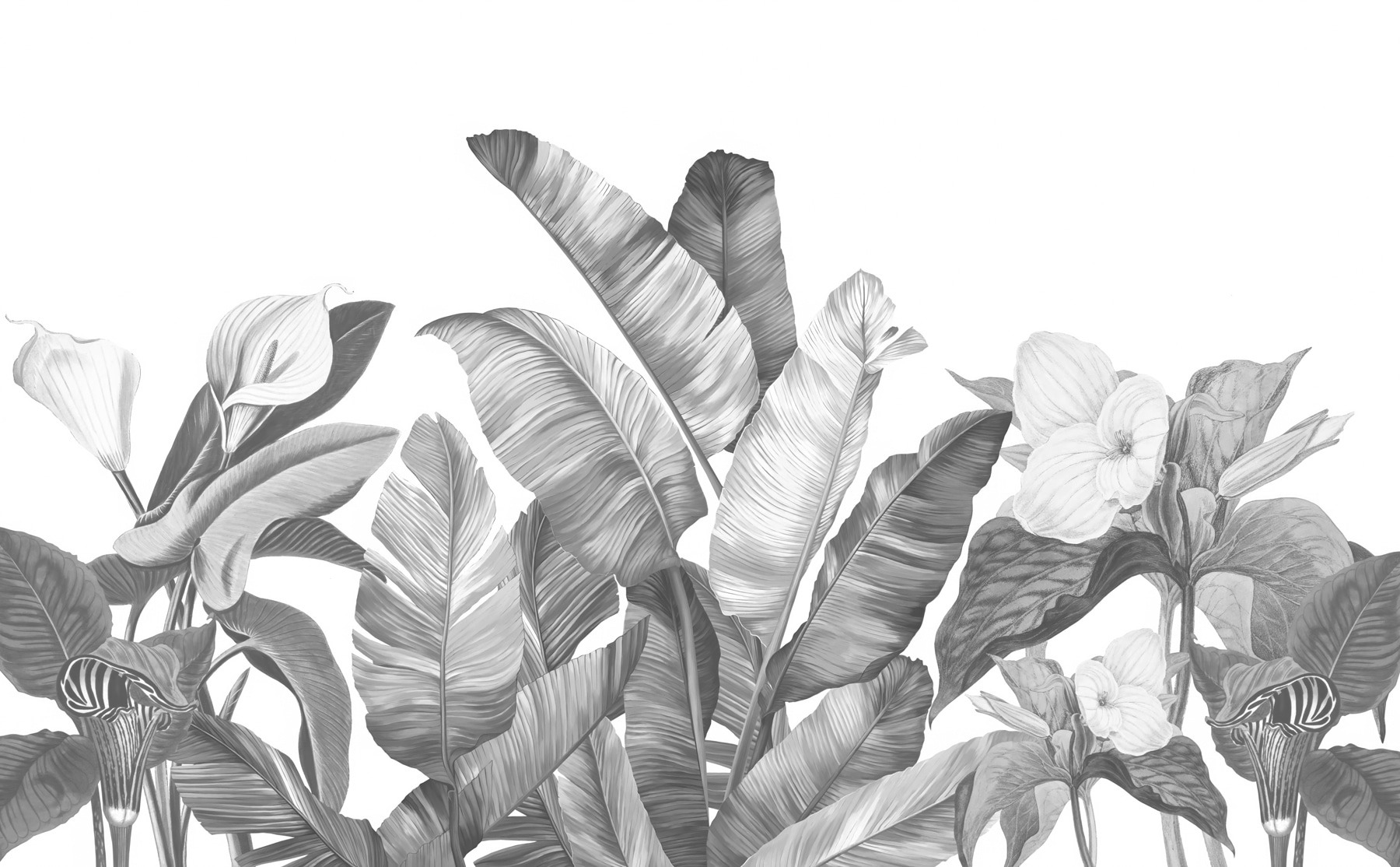 A group of tropical leaves