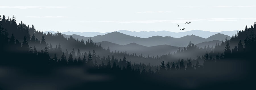 Een landschap van bergen en bomen