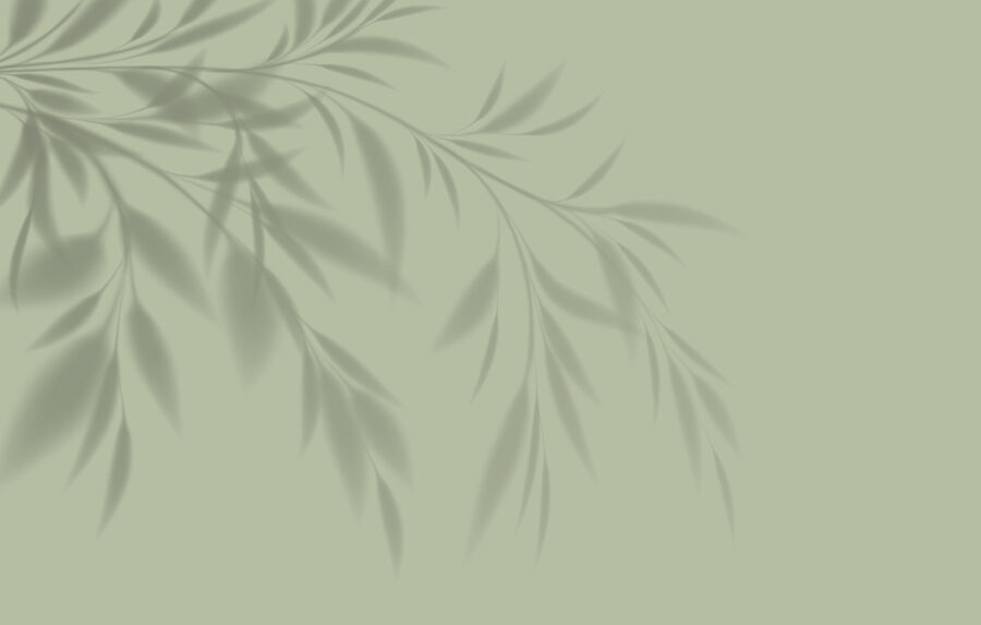Fotobehang Een schaduw van een plant op een muur - Afbeelding 4