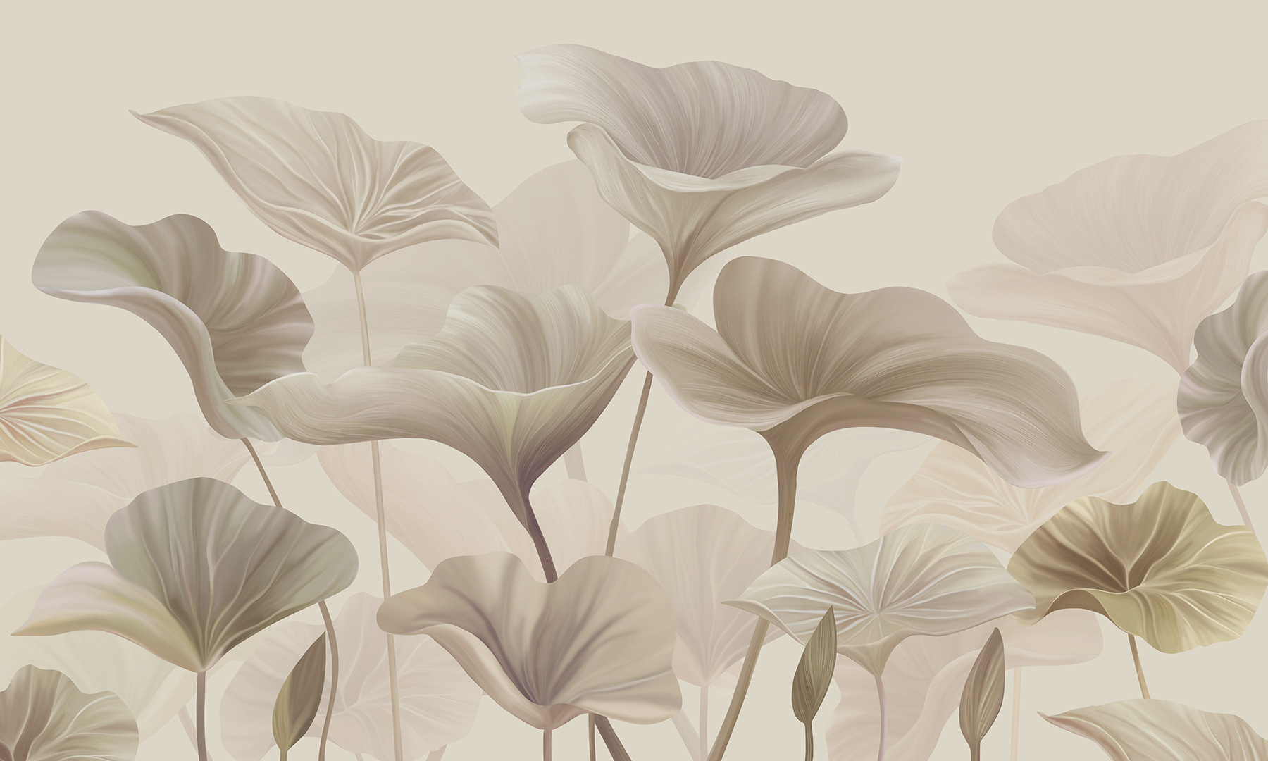 A close up of flowers A close up of flowers