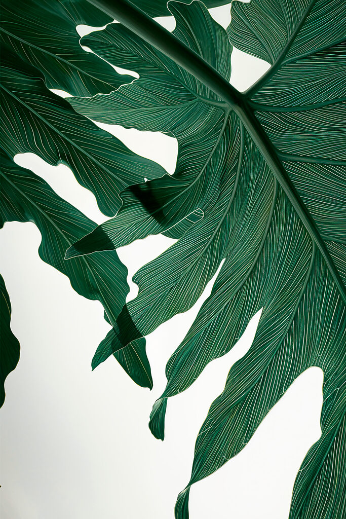 Vibrant green leaves in sunlight