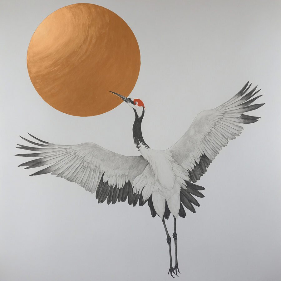 Kraanvogel danst onder stralende zon.