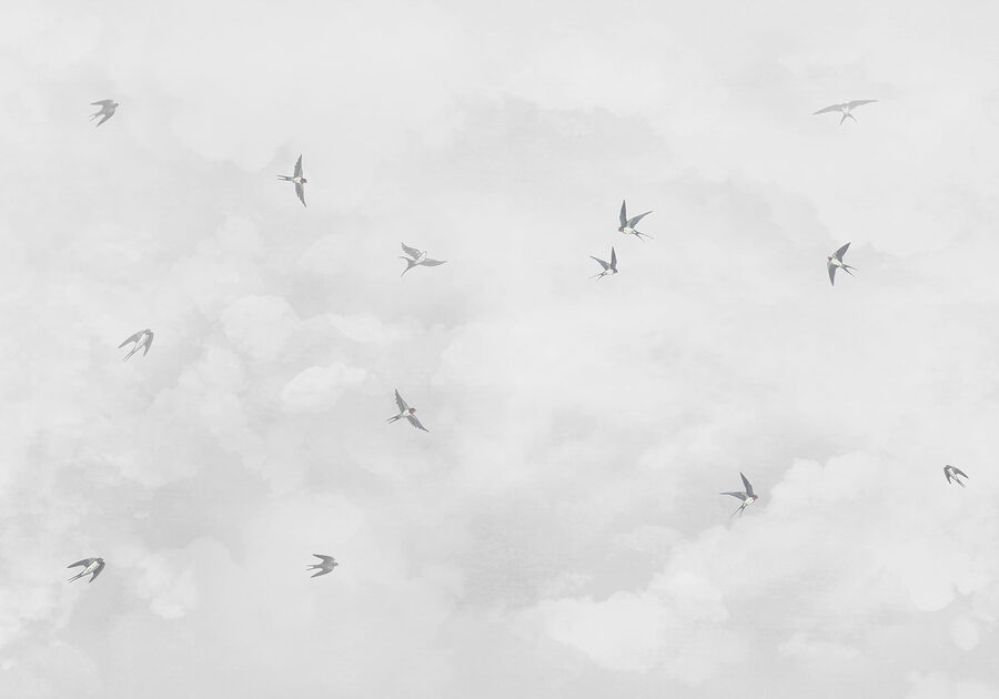 Fotobehang Een groep vogels vliegt in de lucht - Afbeelding 3