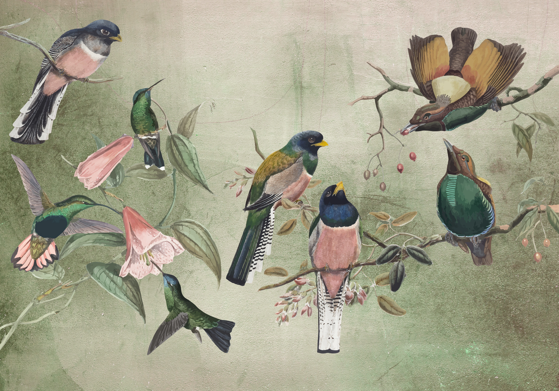 Een groep vogels op een tak w00543p - Een groep vogels op een tak - tegory
