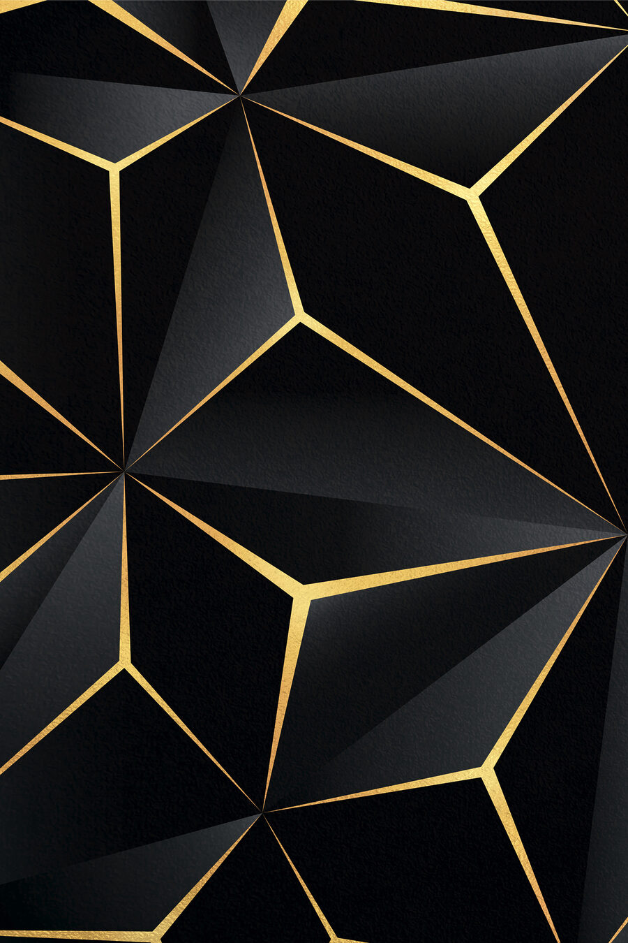 Elegant zwart geometrisch ontwerp met accenten