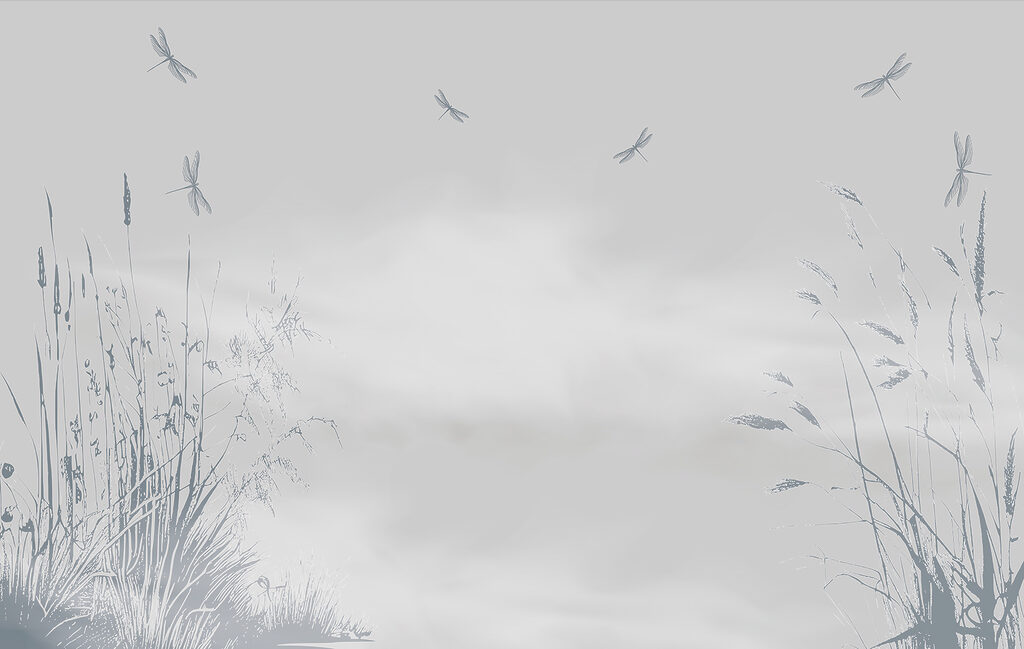 A dragonflies flying in the sky