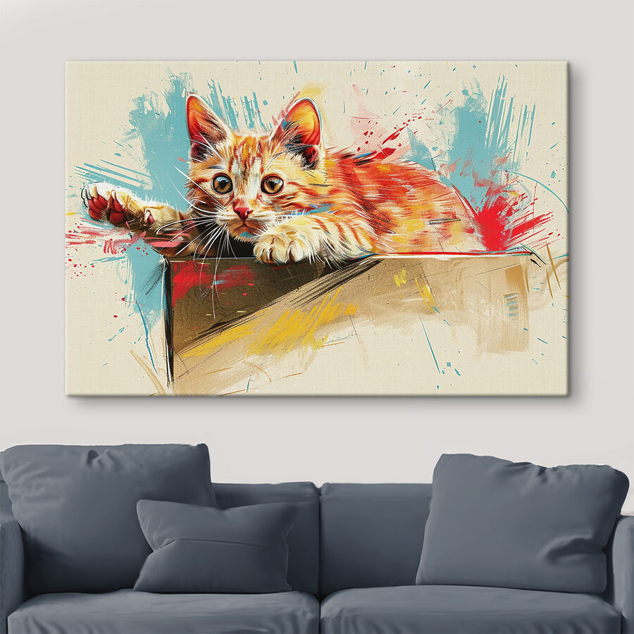 Een kat ligt op een doos Een kat ligt op een doos